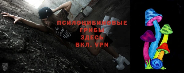 сатива Липки