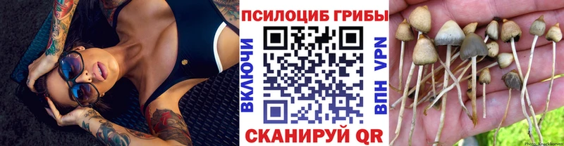 Галлюциногенные грибы GOLDEN TEACHER закладки ссылка на мегу ссылка Ильский